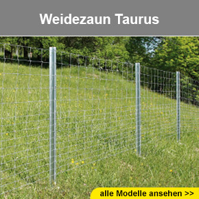 Weidezaun Taurus