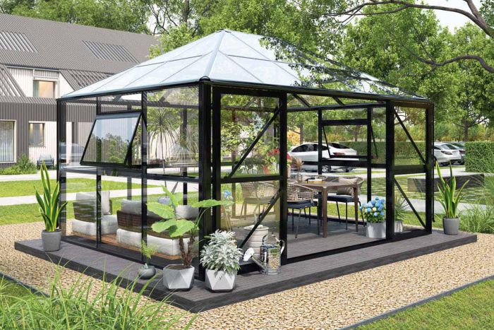 Gewächshaus Basilikum