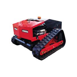 Rasenmäher / Mähraupe mit Fernbedienung - Mod. RM-2